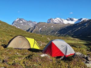 Laagrikoht-Jotunheimenis-juuli-2025