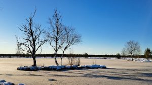 Loodus-ja-vaikus-on-ime